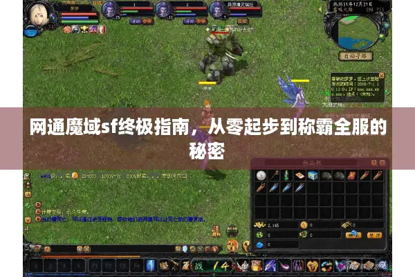 网通魔域sf终极指南，从零起步到称霸全服的秘密