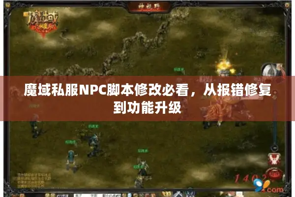 魔域私服NPC脚本修改必看，从报错修复到功能升级