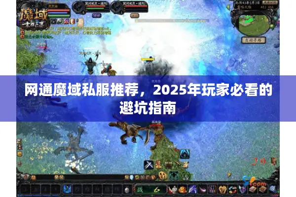 网通魔域私服推荐，2025年玩家必看的避坑指南