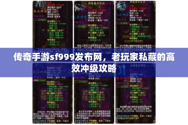 传奇手游sf999发布网，老玩家私藏的高效冲级攻略