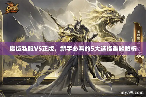 魔域私服VS正版，新手必看的5大选择难题解析
