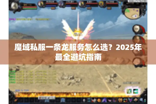 魔域私服一条龙服务怎么选？2025年最全避坑指南