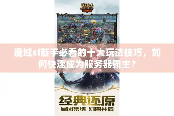 魔域sf新手必看的十大玩法技巧，如何快速成为服务器霸主？