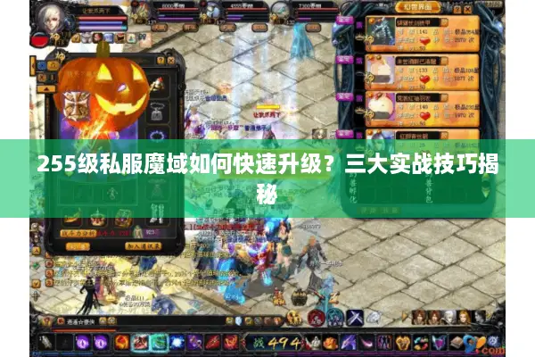 255级私服魔域如何快速升级？三大实战技巧揭秘
