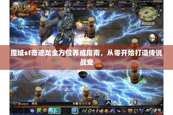 魔域sf奇迹龙全方位养成指南，从零开始打造传说战宠