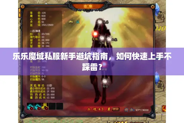乐乐魔域私服新手避坑指南，如何快速上手不踩雷？