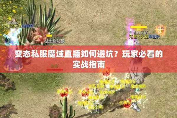 变态私服魔域直播如何避坑？玩家必看的实战指南