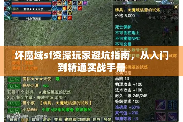 坏魔域sf资深玩家避坑指南，从入门到精通实战手册