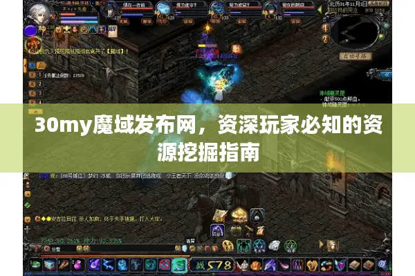 30my魔域发布网，资深玩家必知的资源挖掘指南