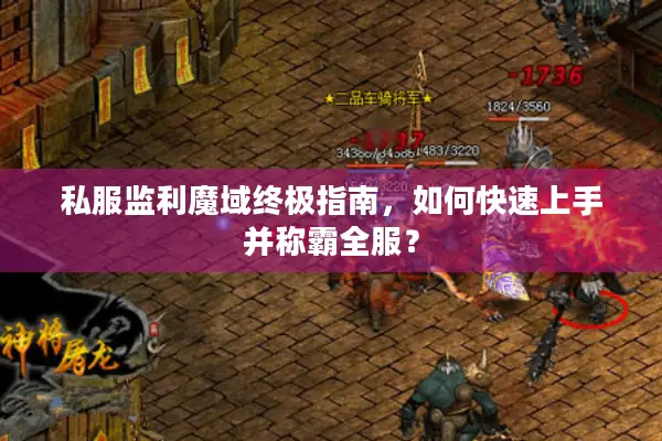 私服监利魔域终极指南，如何快速上手并称霸全服？