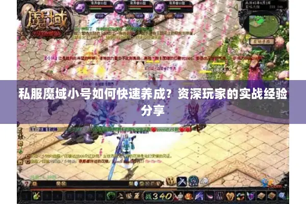私服魔域小号如何快速养成？资深玩家的实战经验分享