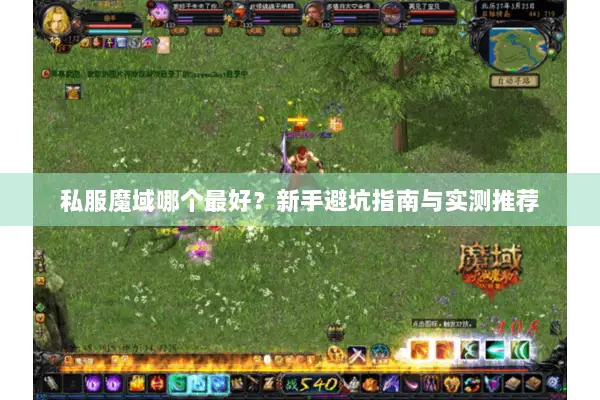 私服魔域哪个最好？新手避坑指南与实测推荐