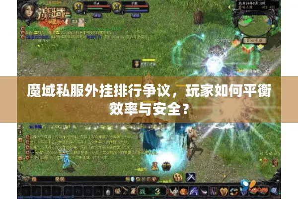 魔域私服外挂排行争议，玩家如何平衡效率与安全？