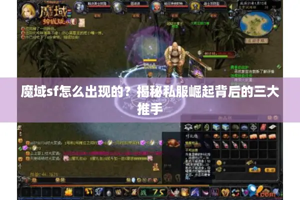 魔域sf怎么出现的？揭秘私服崛起背后的三大推手