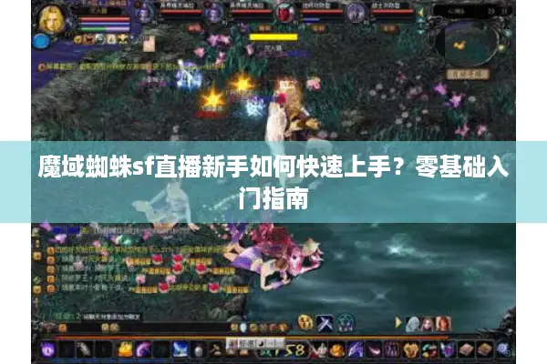 魔域蜘蛛sf直播新手如何快速上手？零基础入门指南
