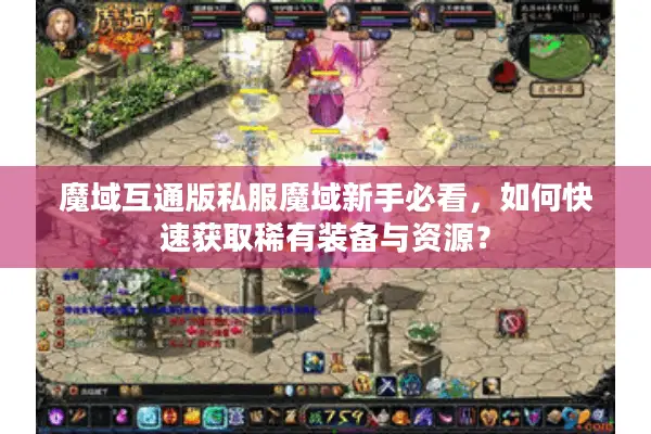 魔域互通版私服魔域新手必看，如何快速获取稀有装备与资源？