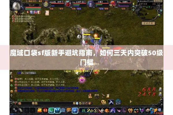 魔域口袋sf版新手避坑指南，如何三天内突破50级门槛