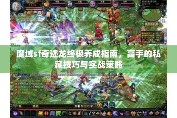 魔域sf奇迹龙终极养成指南，高手的私藏技巧与实战策略
