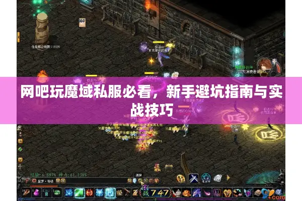 网吧玩魔域私服必看，新手避坑指南与实战技巧