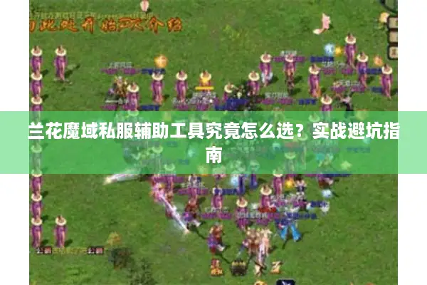 兰花魔域私服辅助工具究竟怎么选？实战避坑指南