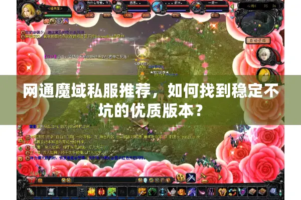 网通魔域私服推荐，如何找到稳定不坑的优质版本？