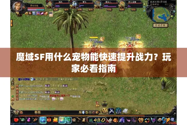 魔域SF用什么宠物能快速提升战力？玩家必看指南