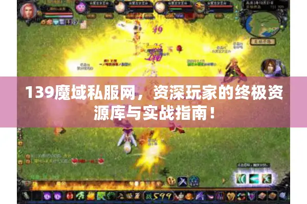 139魔域私服网，资深玩家的终极资源库与实战指南！