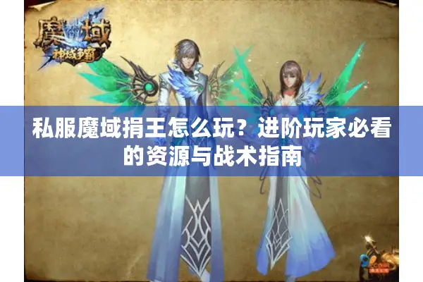 私服魔域捐王怎么玩？进阶玩家必看的资源与战术指南