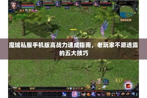 魔域私服手机版高战力速成指南，老玩家不愿透露的五大技巧