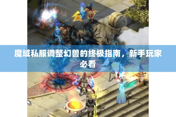 魔域私服调整幻兽的终极指南,新手玩家必看 魔域私服调整幻兽的终极指南,新手玩家必看
