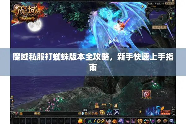 魔域私服打蜘蛛版本全攻略，新手快速上手指南