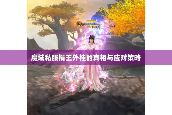 魔域私服捐王外挂的真相与应对策略