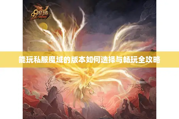 能玩私服魔域的版本如何选择与畅玩全攻略