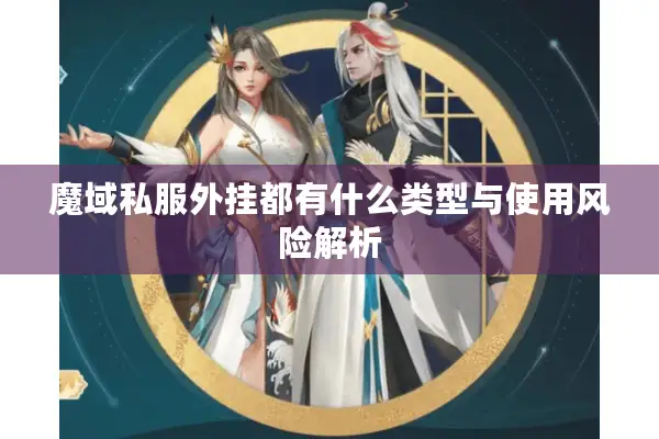 魔域私服外挂都有什么类型与使用风险解析