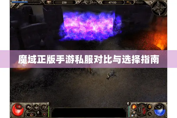 魔域正版手游私服对比与选择指南