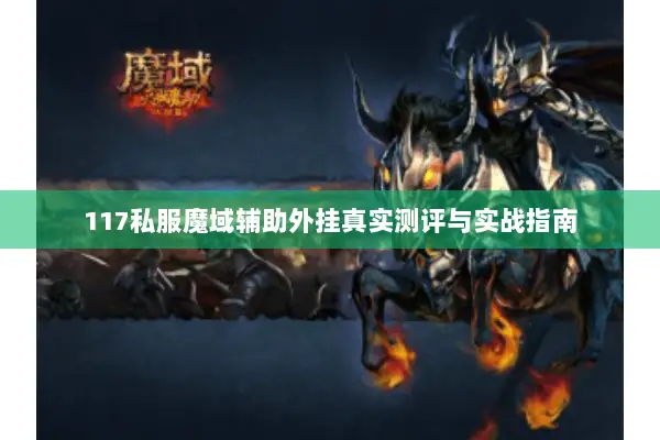 117私服魔域辅助外挂真实测评与实战指南