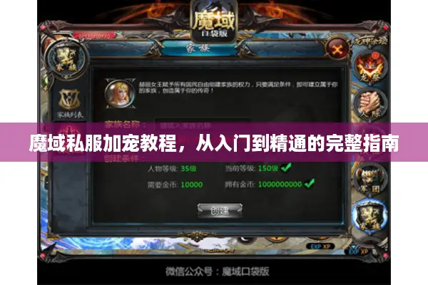 魔域私服加宠教程，从入门到精通的完整指南