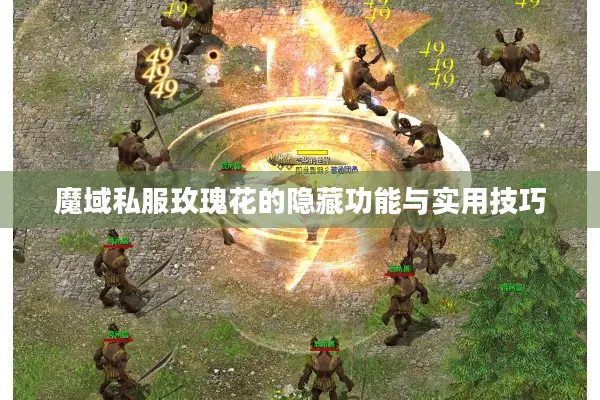 魔域私服玫瑰花的隐藏功能与实用技巧