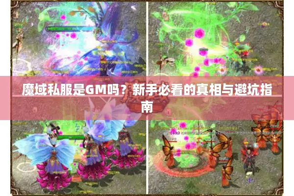 魔域私服是GM吗？新手必看的真相与避坑指南