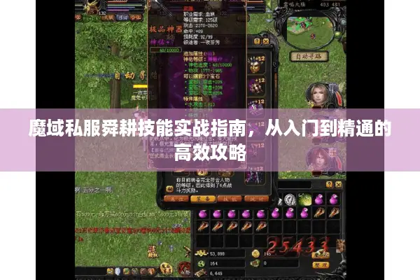 魔域私服舜耕技能实战指南,从入门到精通的高效攻略 魔域私服舜耕技能实战指南,从入门到精通的高效攻略