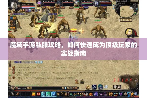 魔域手游私服攻略，如何快速成为顶级玩家的实战指南