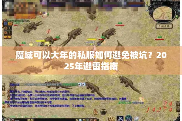 魔域可以大年的私服如何避免被坑？2025年避雷指南