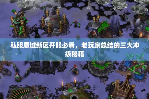 私服魔域新区开服必看，老玩家总结的三大冲级秘籍