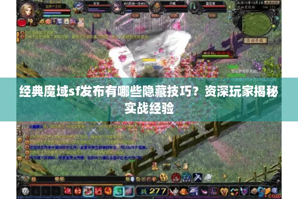 经典魔域sf发布有哪些隐藏技巧？资深玩家揭秘实战经验