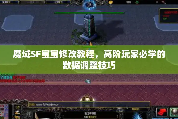 魔域SF宝宝修改教程，高阶玩家必学的数据调整技巧