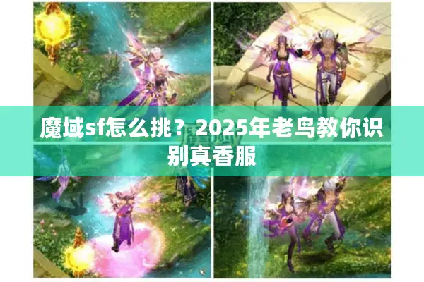 魔域sf怎么挑?2025年老鸟教你识别真香服 魔域sf怎么挑?2025年老鸟教你识别真香服