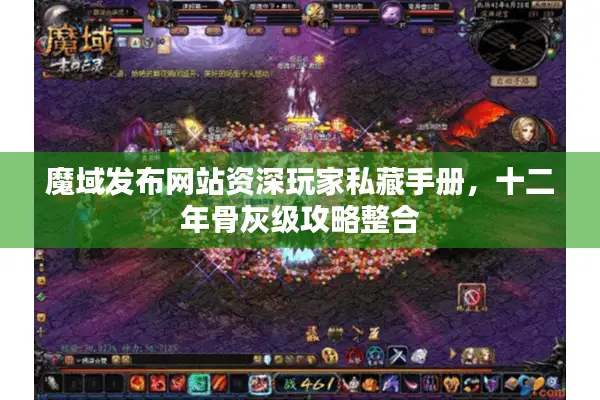 魔域发布网站资深玩家私藏手册，十二年骨灰级攻略整合