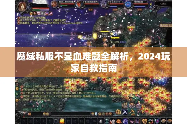 魔域私服不显血难题全解析，2024玩家自救指南