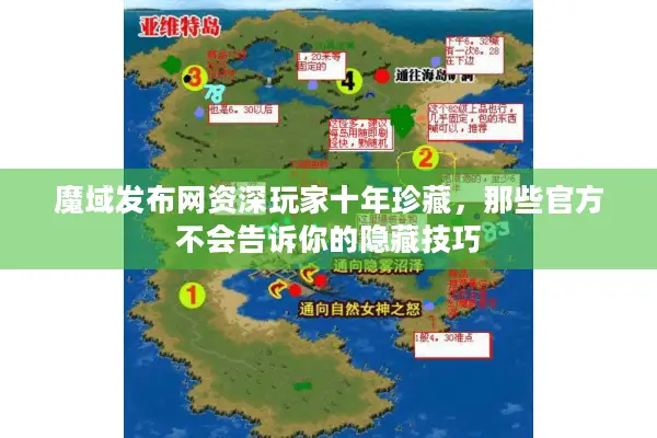 魔域发布网资深玩家十年珍藏，那些官方不会告诉你的隐藏技巧