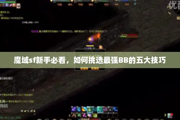 魔域sf新手必看，如何挑选最强BB的五大技巧